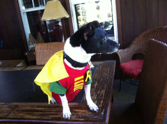 The Rescue Round-Up Lilo