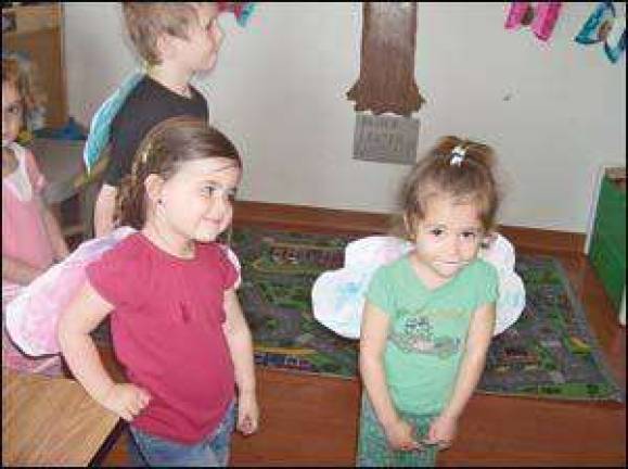 For the love of butterflies For the love of butterflies