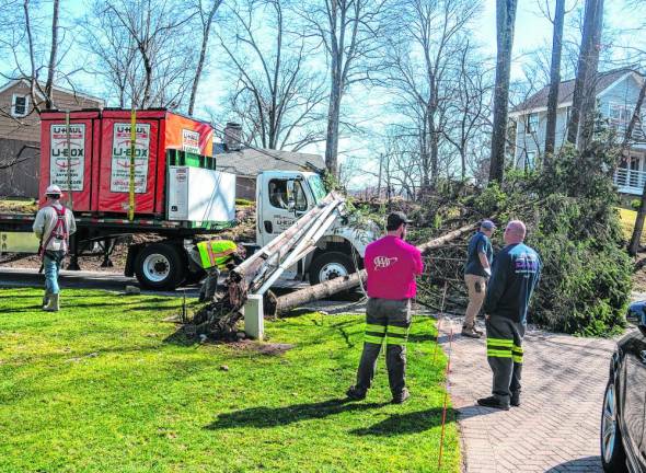 Truck knocks down pole, tree in Sparta