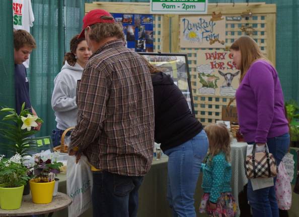 Springfest returns to county fairgrounds Visitors shown exploring Springfest during the weekend of March 19-20.