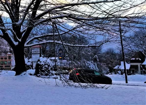 Tree branches snap from the weight of the ice and snow in Sparta Thursday.