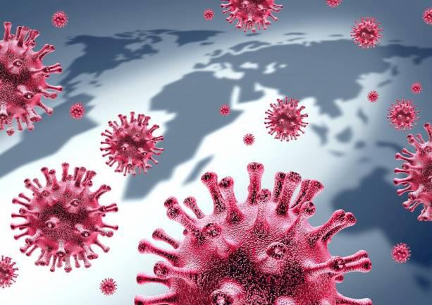Three COVID-19 cases confirmed in Sussex County Three COVID-19 cases confirmed in Sussex County