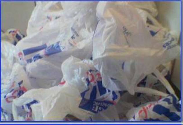 Win for environment; Murphy's vetoes plastic fee bill No Bags Photo by didbygraham
