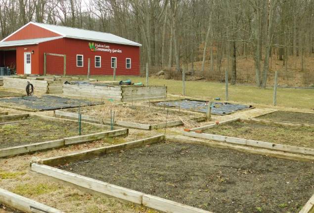 Seeking green thumbs Seeking green thumbs