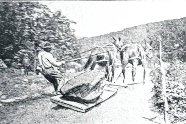 Sussex County History Today: The Old Turnpike, Part 2 Repairing a road along the Old Hamburg Turnpike.