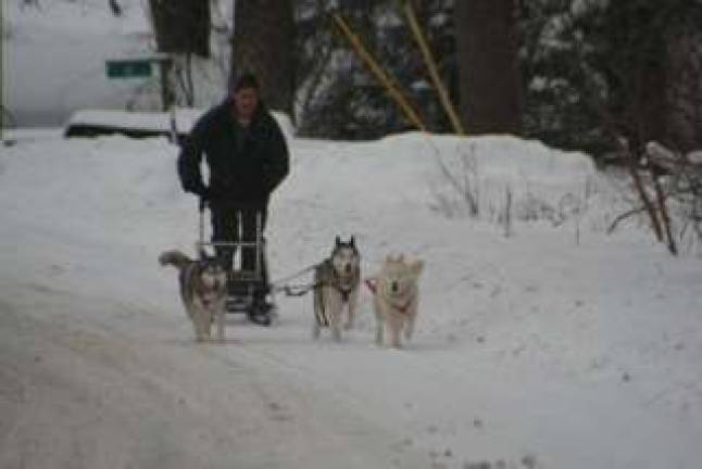 Tim Holovacs, of Sparta, with Khan, Roxy, and Juneau. submitted photo