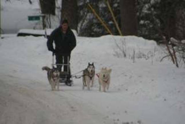 'Historic' storm never comes, but Sparta still digs out Tim Holovacs, of Sparta, with Khan, Roxy, and Juneau. submitted photo