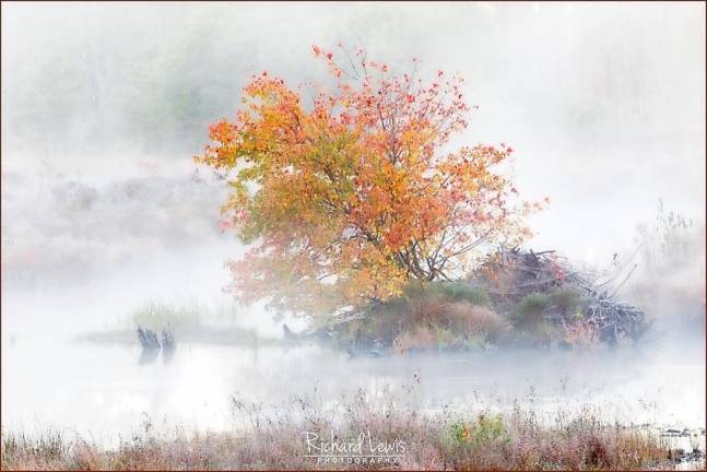 “Fall at the Lodge.”