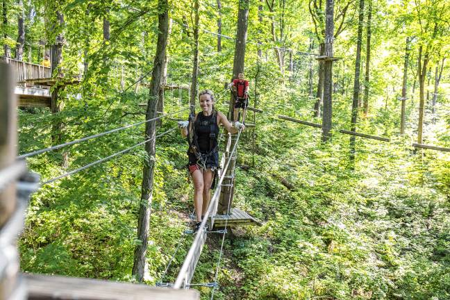 TreEscape Aerial Adventure Park opens Saturday <b>TreEscape Aerial Adventure Park in Vernon offers a range of obstacles, rope walks and zip lines. (Photos provided)</b>