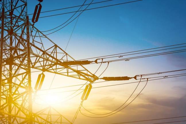 Officials target electrocution as leading bald eagle killer Officials target electrocution as leading bald eagle killer