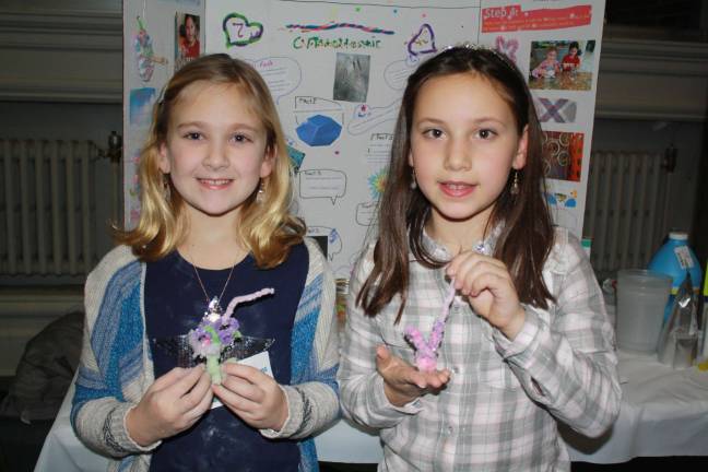 Scientists of tomorrow shine forth Caitlin Snellings and Anna Mysh with a new twist on crystalization using pipe cleaners.