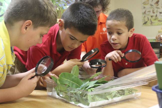 Fourth-graders raise, tag, and release monarch butterflies Fourth-graders raise, tag, and release monarch butterflies