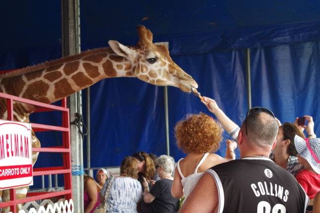 Fair fun What’s not to like about Melman the Giraffe? Visitors were directed to only feed Melman carrots.