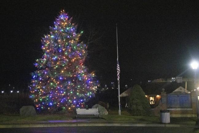 The lighted tree stands in front of Veterans of Foreign Wars Post 7248 in Sparta.