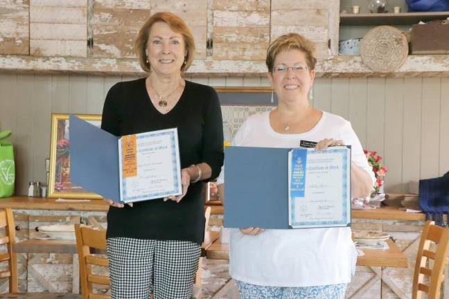 Hopatcong women honored with local and state awards Pat Hoferkamp and Lisa Hirschfeld win state honors.