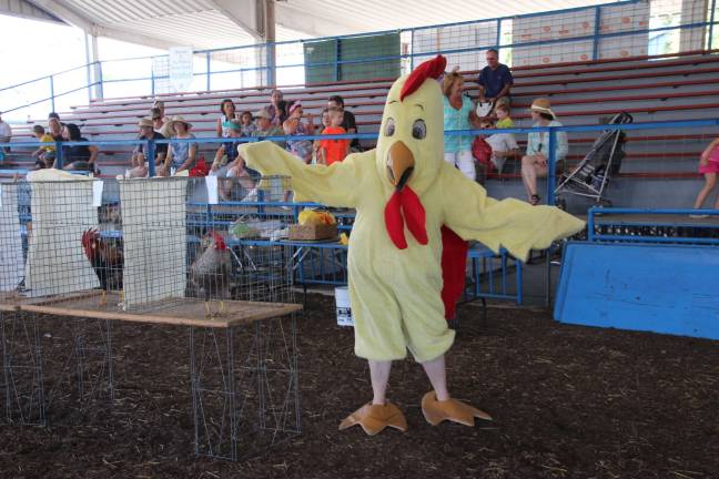 A day at the fair Sussex county poultry fanciers mascot gets ready for the rooster crowing contest.