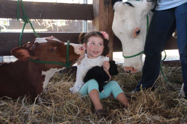 A day at the fair Sofia Hallak of Wantage thinks this cow wants her lollypop.