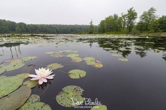 Camera Club holds first meeting of the Fall season on Sept. 11 The new season kicks off for the Sparta Camera Club on Wednesday, Sept. 11.