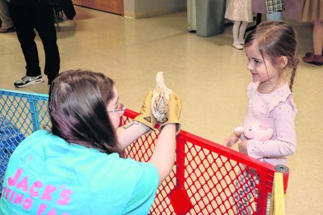 Emma Shouldis, 3, looks at a bird.