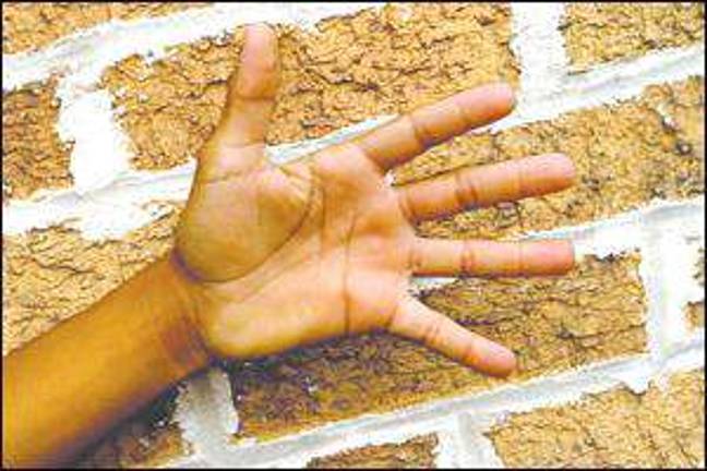 Education foundation laying bricks for fundraiser Education foundation laying bricks for fundraiser