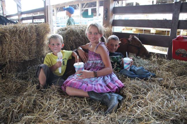 A day at the fair Tegan and Easton Haggerty of Wantage and Brooke Lordy of Sandyston take a quick ice cream break with their cow at the fair.
