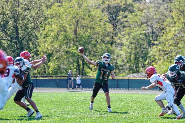 High Point tops Kittatinny, 14-7 <b>Sussex Tech quarterback Cole Young throws the ball.</b>