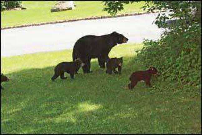 A family visit A family visit