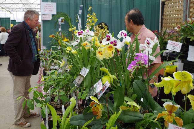 Springfest returns to county fairgrounds Flowers were forced to bloom weeks earlier than they otherwise would.