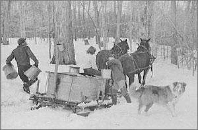 Learn how maple syrup is made Learn how maple syrup is made