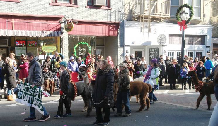 Pottermania comes to Newton What's a magical parade without alpacas, presented by the 4-H Club
