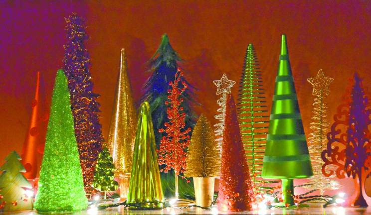 From Seedling To Maturity The Life Of A Christmas Tree