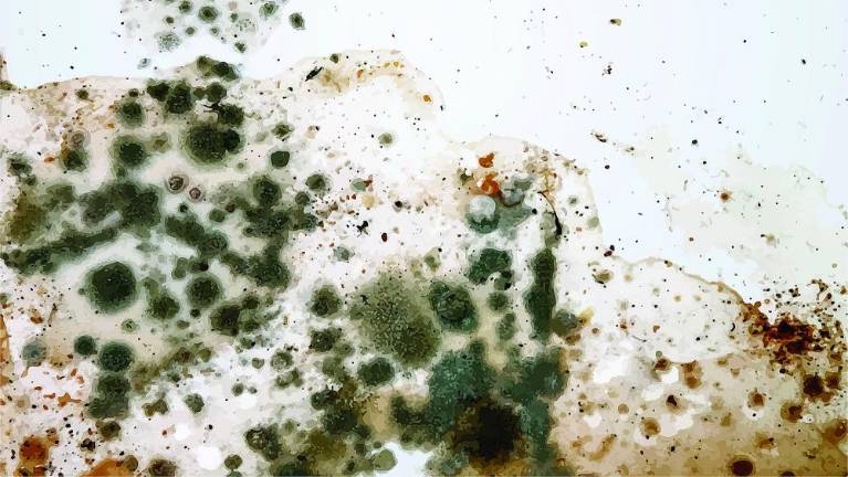 Air gets scrubbing after mold found in two Sparta schools (Bigstock)