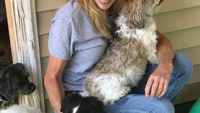 Sussex County dogs getting sick despite vaccines Sussex County dogs getting sick despite vaccines