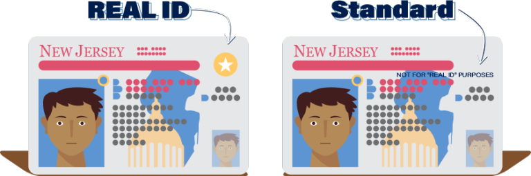 Side by side comparison of REAL ID and standard identification cards.