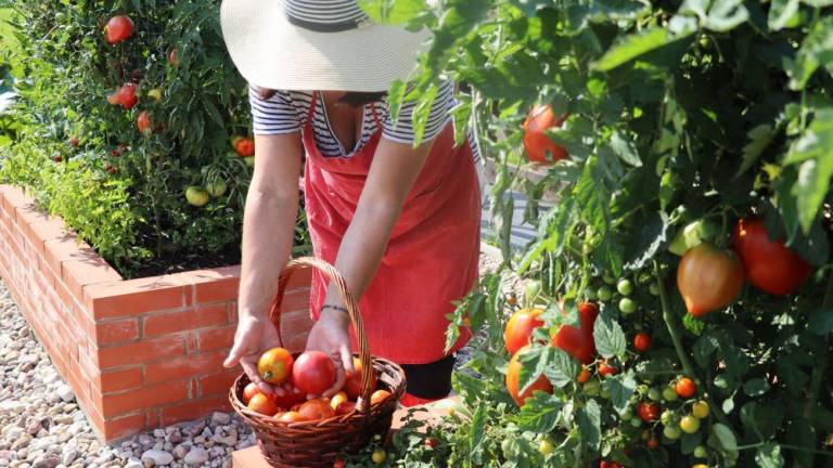 Enrollment now open for Rutgers Gardening Education Series Enrollment now open for Rutgers Gardening Education Series