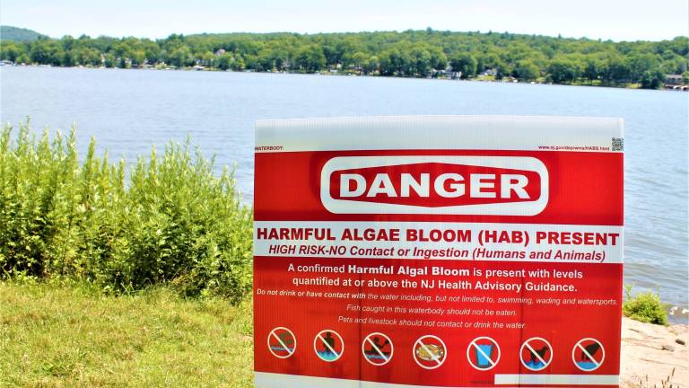 New Jersey advises no Greenwood Lake water contact due to dangerous algal bloom New Jersey advises no Greenwood Lake water contact due to dangerous algal bloom