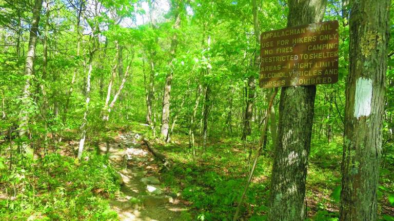 The Appalachian Trail in Sussex County, N.J., Delaware Water Gap National Recreation Area (Photo by Pamela Chergotis)