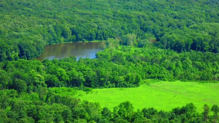 The Delaware River and Minisink Island from the Cliff Park Trail in Milford, Pa. (Photo by Pamela Chergotis)