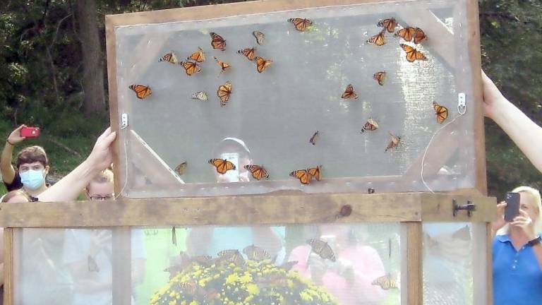 The butterfly release was a glorious symbol (Photo by Janet Redyke)