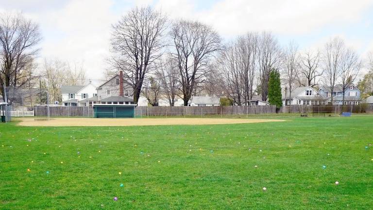 Ogdensburg Municipal Park (File photo by Vera Olinski)