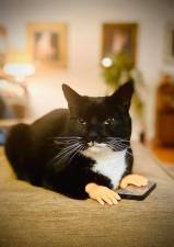 Roxy actually submitted this entry herself. Photo: Christine Mase