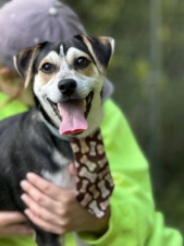 Meet Groucho