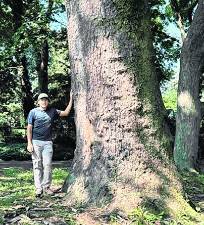 Forrest Jennings stands next to the tree.