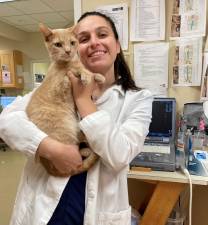 Dr. Gabby Catania at work with her rescue cat, Pickles, who has become “our mascot” at The Animal Hospital of Sussex County, according to business owner Dr. Ted Spinks. Allowing employees to bring their pets to work is one way his practice tries to help lower employees’ stress levels. (Photo provided)