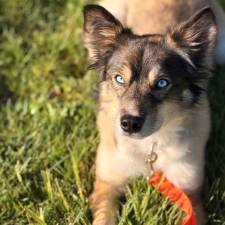 Meet Marti