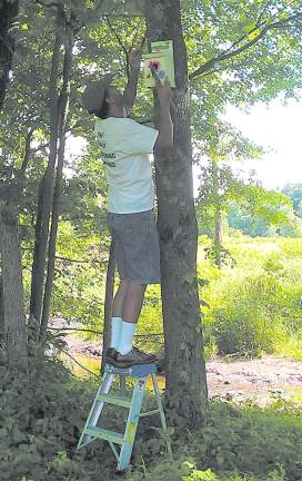 Steve Wagner hangs a birdhouse in a tree.