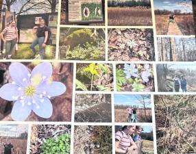 Troop 1150 members earn Expedition Merit badges on Pochuck Boardwalk hike