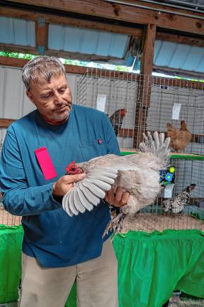 <b>Dwight Scott judges poultry Saturday, Aug. 2 at the fair. (Photo by Nancy Madacsi)</b>