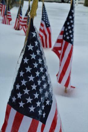 Ice encases the American Flags at the Sparta VFW Post 7248.