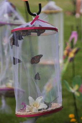 Butterflies in tulle cages: Attendees can witness the Monarch butterflies awaiting their release at the conclusion of each Butterfly Release Celebration. The annual celebrations will be hosted in Sussex and Warren Counties in New Jersey and Pike County, Pennsylvania on June 9 and 10. Photos provided